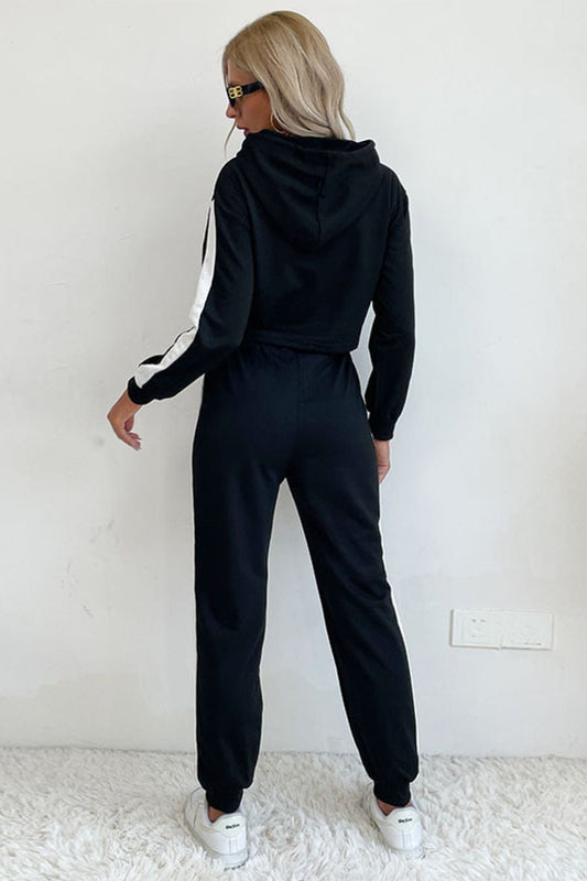 Side Stripe Cropped Hoodie and Jogger Set - Talk to the tee store